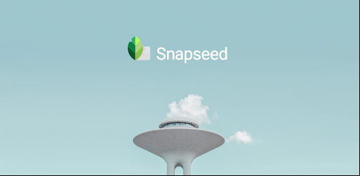 The Best Snapseed Alternatives